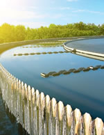 Read about NSF – Developing Standards in Manufacturing and Process Procedures